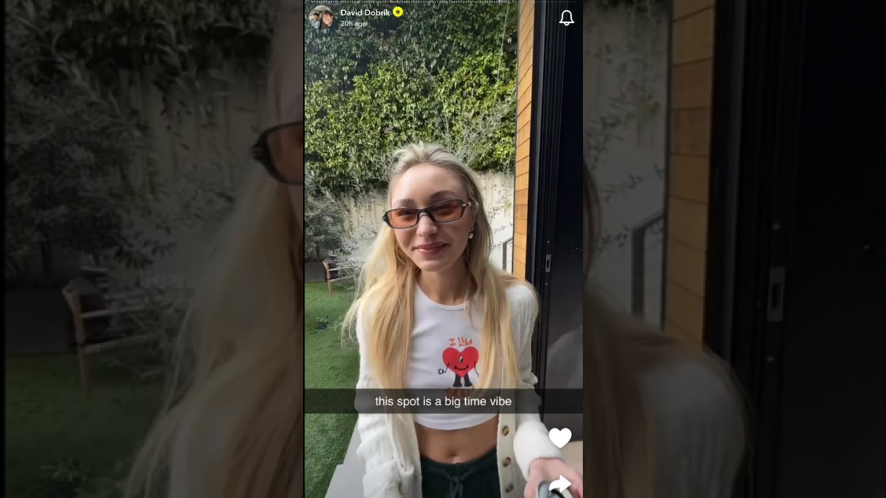 STUNNING REAL ESTATE AND CELEBRATION David Dobrik Snapchat 21 Jul 2025 3