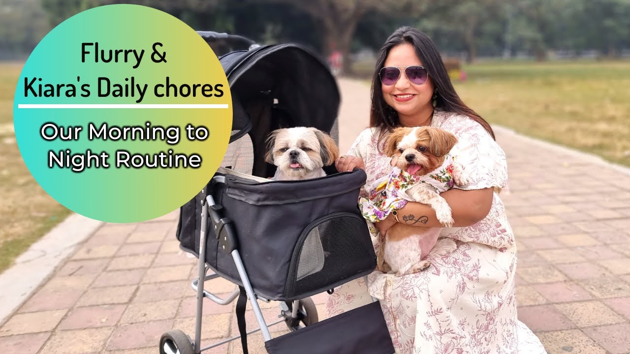 Our Morning To Night Routine | Morning to Night Routine of my puppies