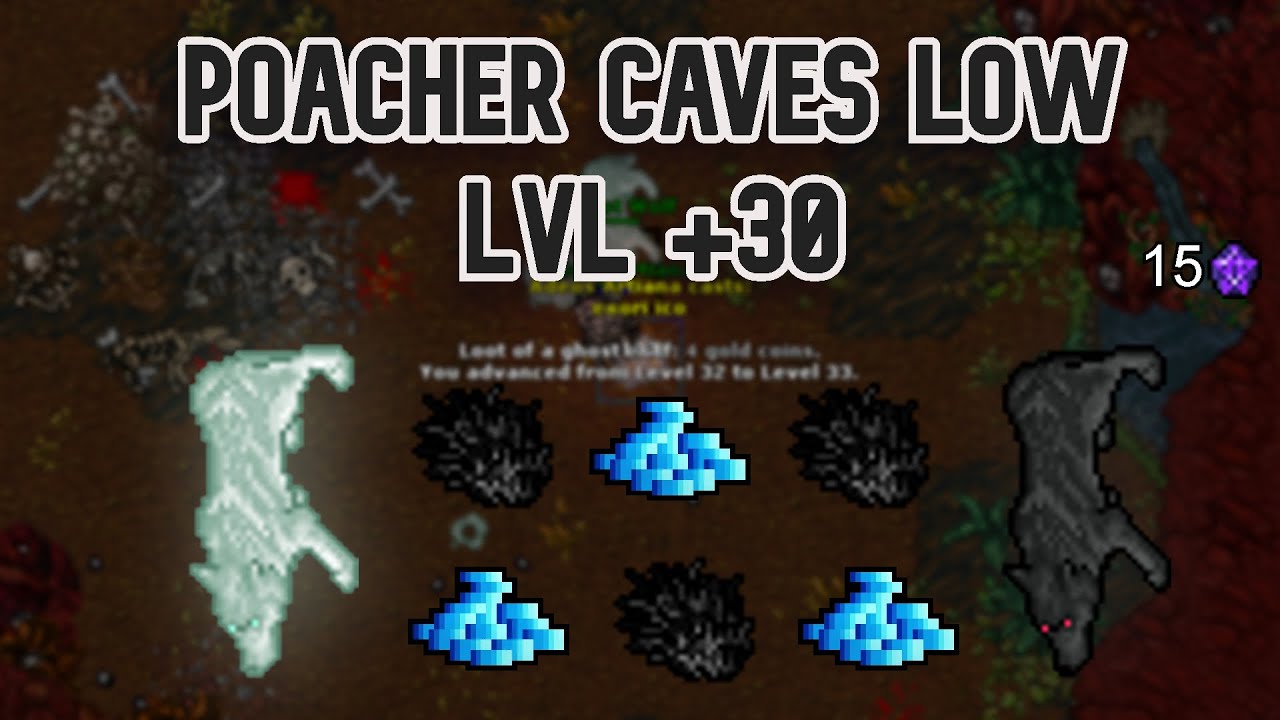 Free account hunt // Profit // Zonas de caza free // Poaher Caves // Low lvl +30
