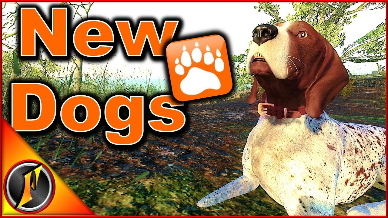 NEW DOGS | German Short-Haired Pointers | theHunter Classic