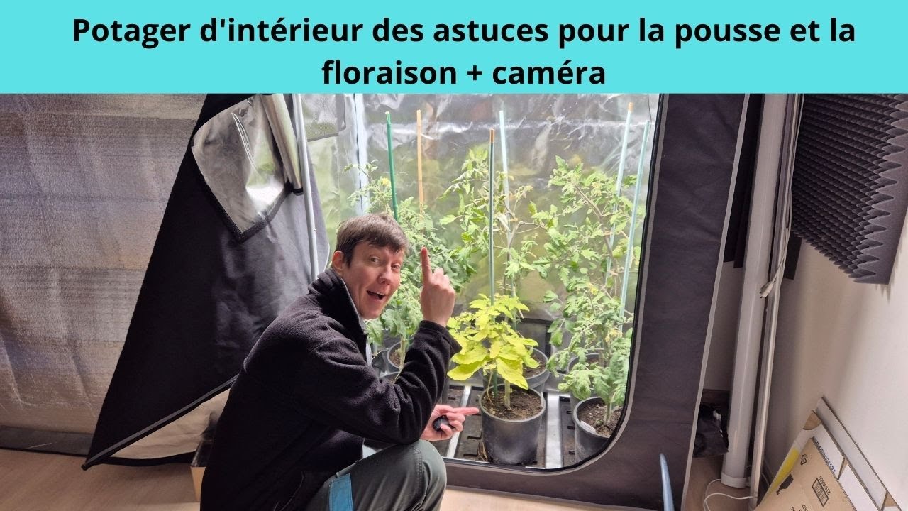 Potager d'intérieur des astuces pour la pousse et la floraison + caméra