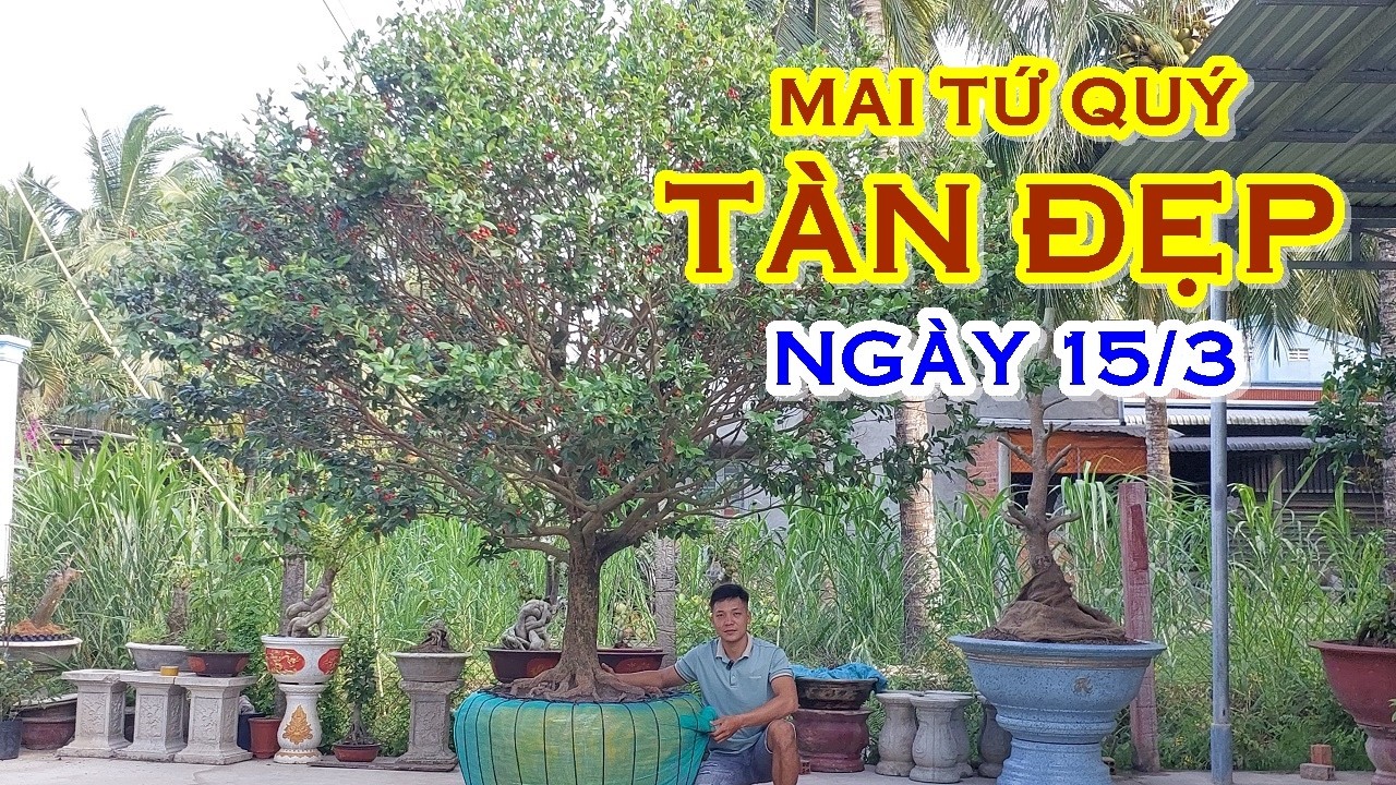 TÌNH 📲 O3538162I7 MAI TỨ QUÝ DÁNG ĐẸP GIAO LƯU NGÀY 15/3 