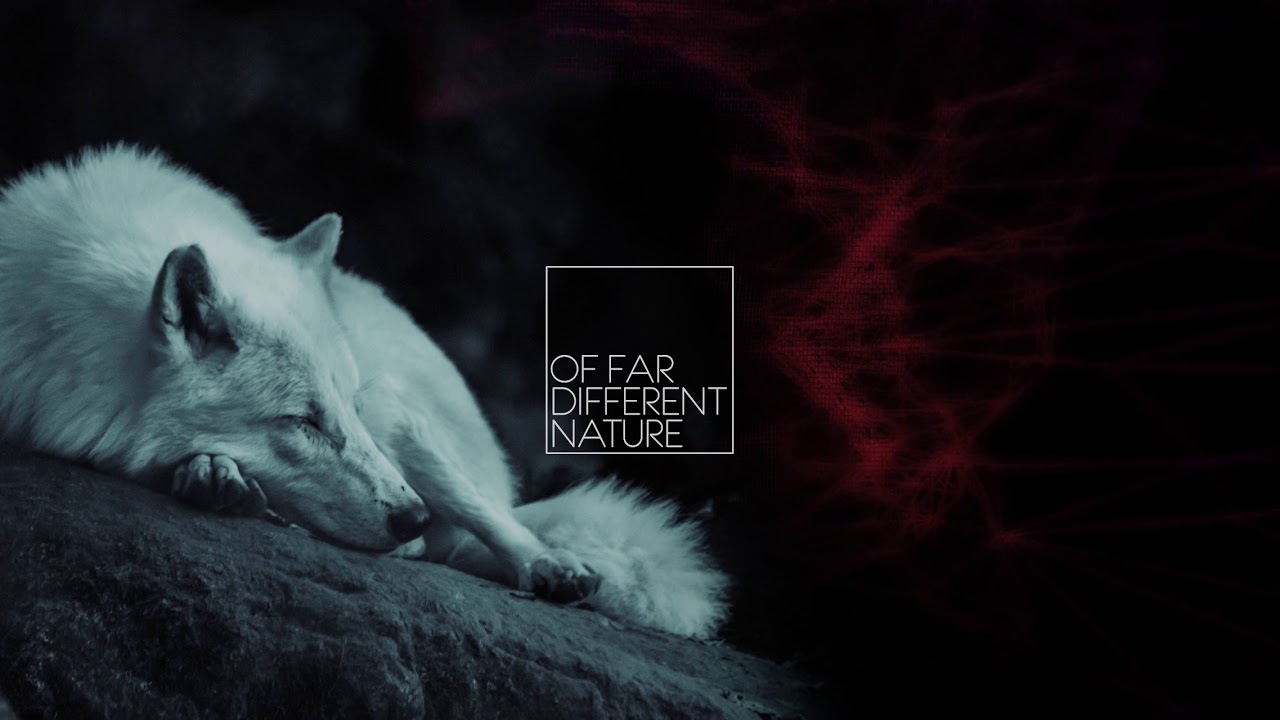 Electronic Exploration #4: To East | Harmor by Image-Line