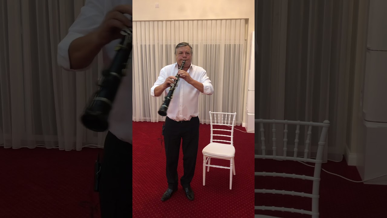 Nelu Gabor & Dorin Nemeș