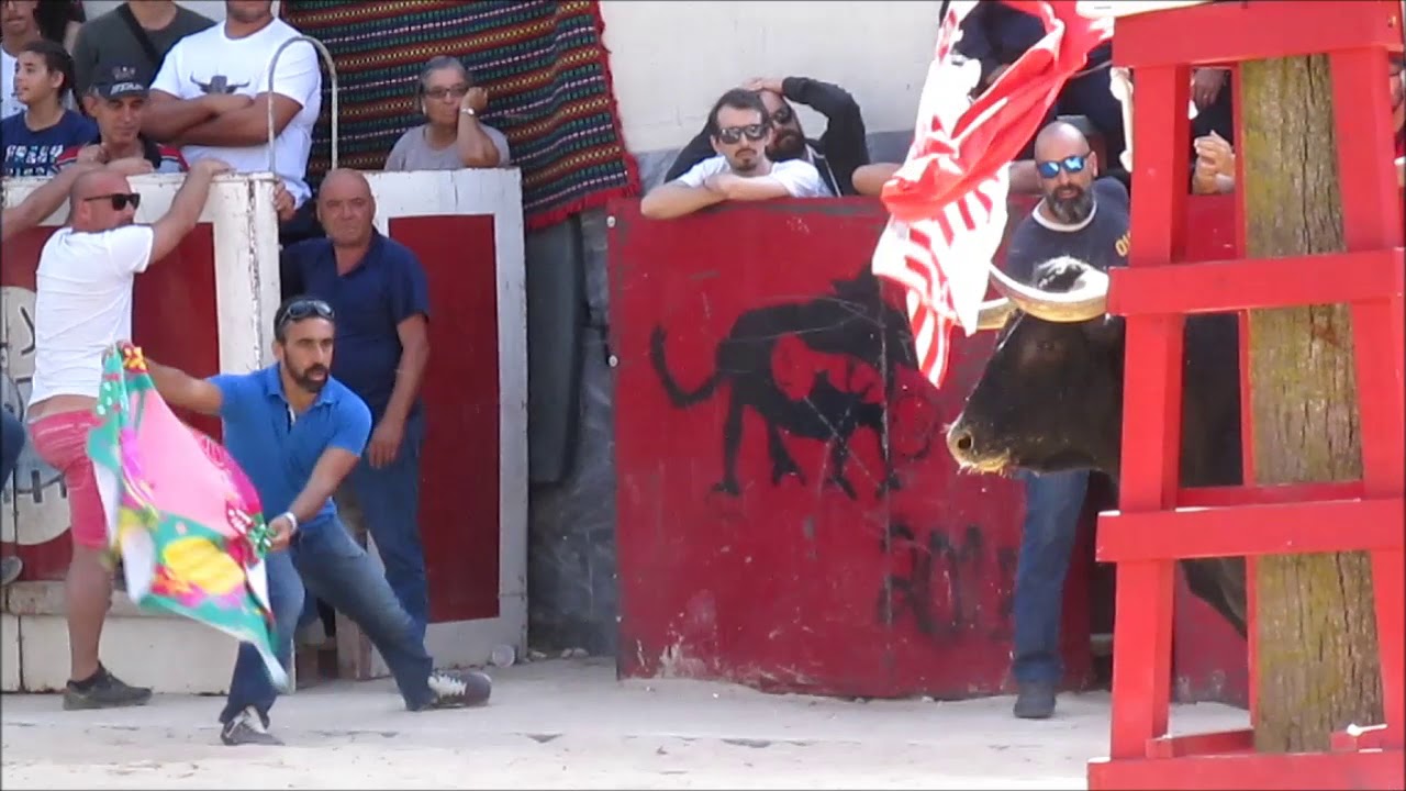 Tarde de Fogareiro -Moita 2019