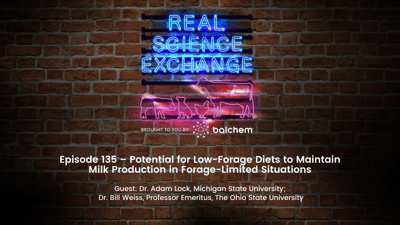 Real Science Exchange: Low-Forage Diet & Milk Production in Forage-Limited Situations; Dr. Lock, MSU