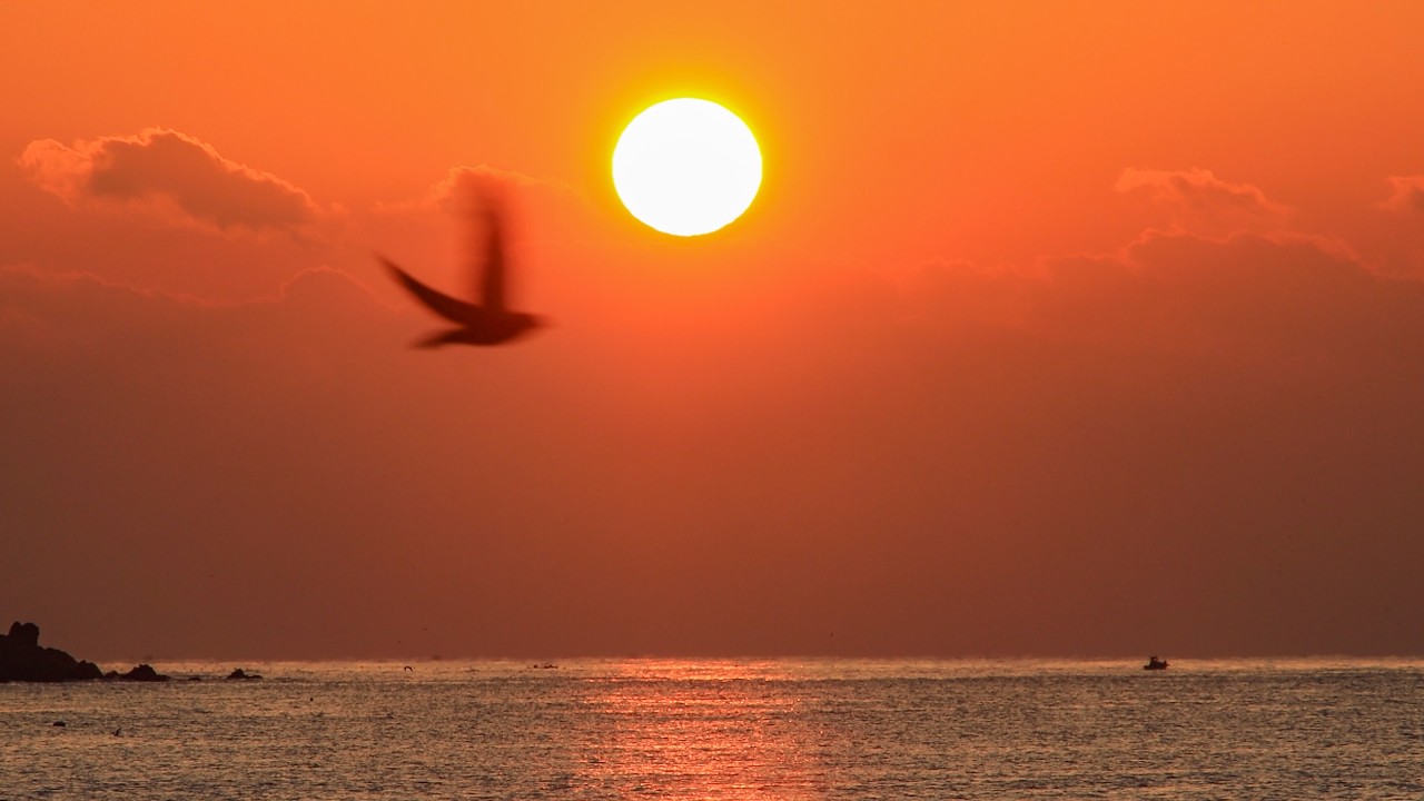 2026년 3월 8일. 해운대 해수욕장 일출 보러가기