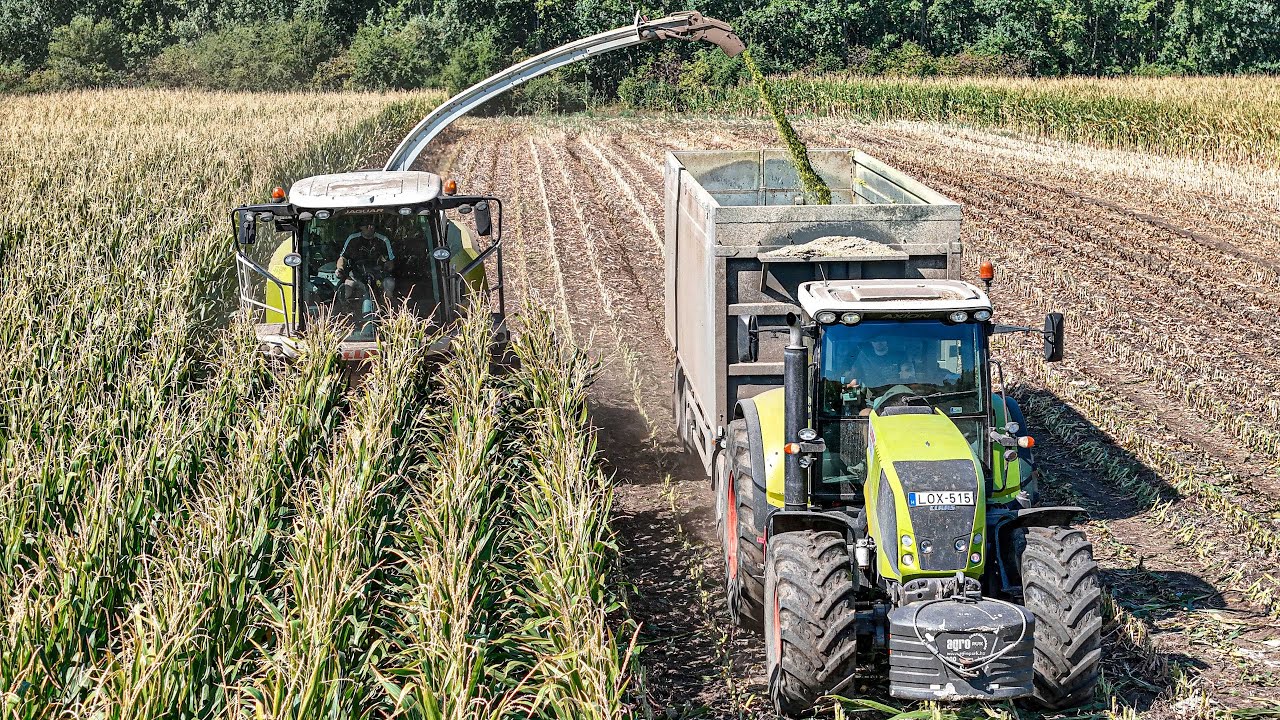 [2024] Sil&oacute;z&aacute;s CLAAS JAGUAR 940 John Deere 7R, 4x Claas Axion [MAYER] Corn Silage 2024