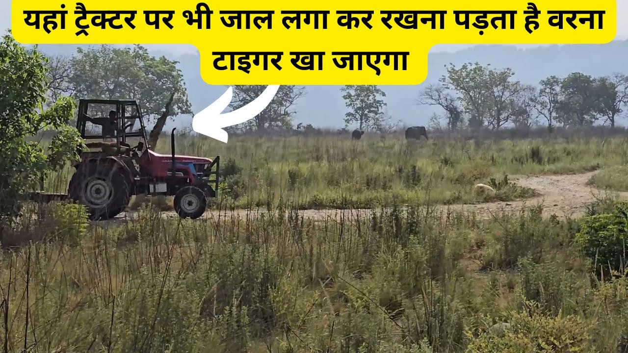 यहां ट्रैक्टर पर भी जाल लगा कर रखना पड़ता है वरना टाइगर खा जाएगा