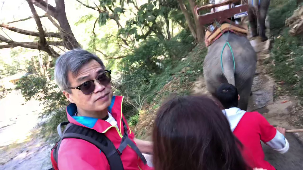 Thailand Chiang Ma - Elephant ride