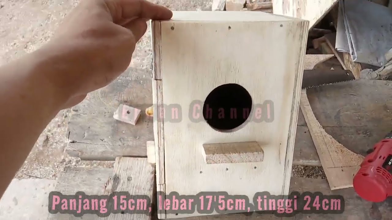 Cara membuat glodok lovebird pintu samping