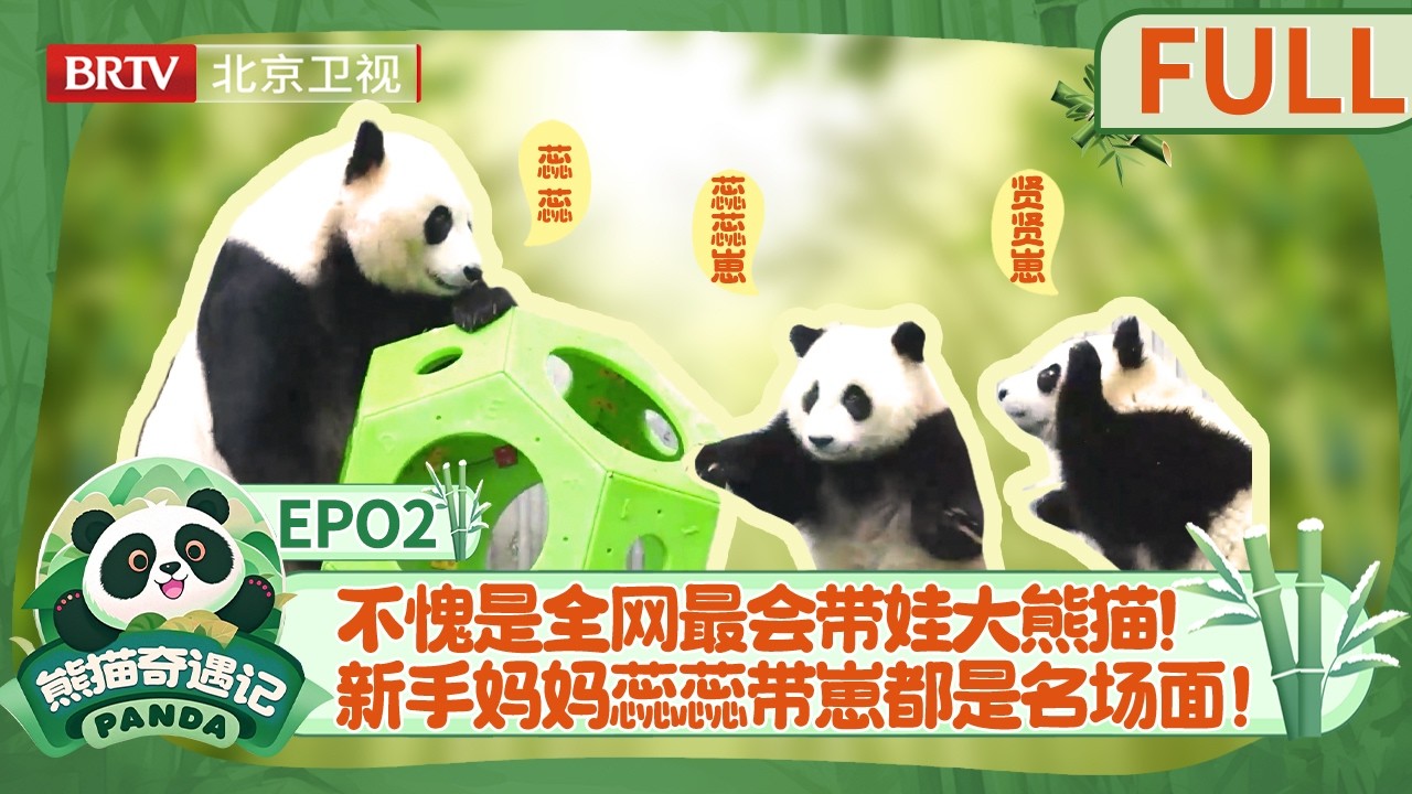 《熊猫奇遇记》第二期《成长奇旅》《The Panda Adventure》Episode 2 
