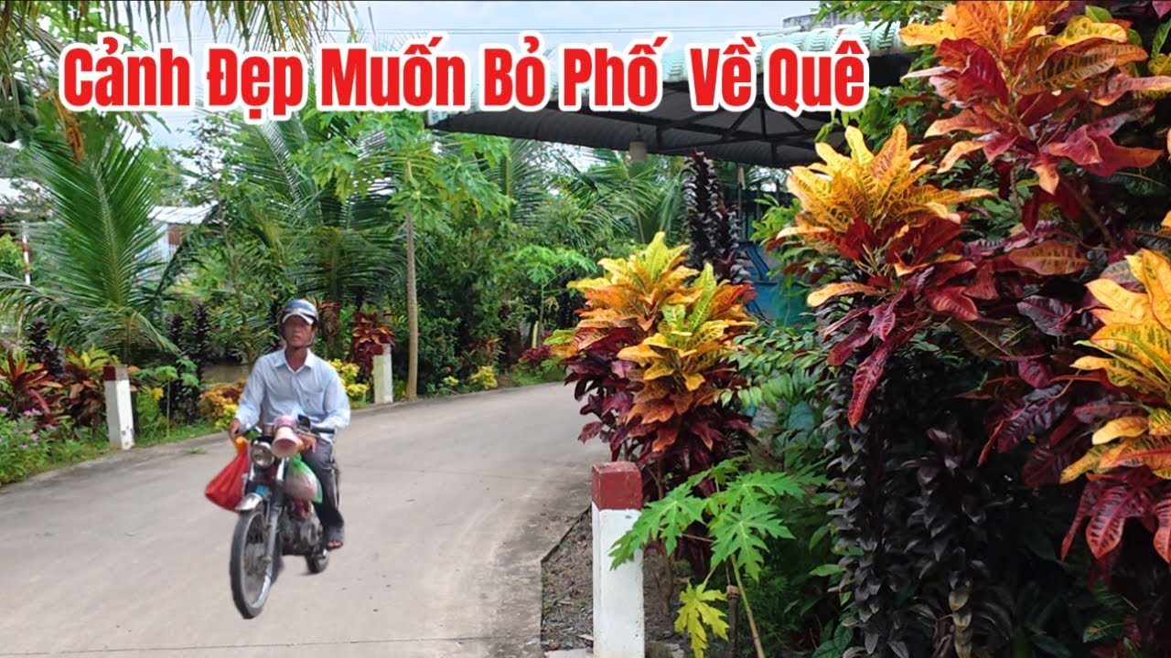 Khám Phá Con Đường Làng Quê Tuyệt Đẹp Thật Đáng Sống 