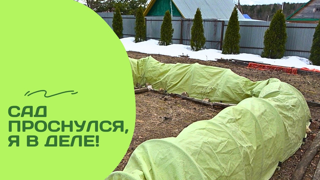 28 соток после зимней спячки: почти парк, почти пруд и точно я!