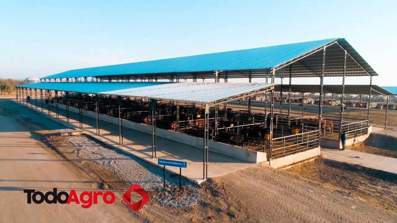 Un feedlot modelo que cosecha datos y transfiere conocimiento
