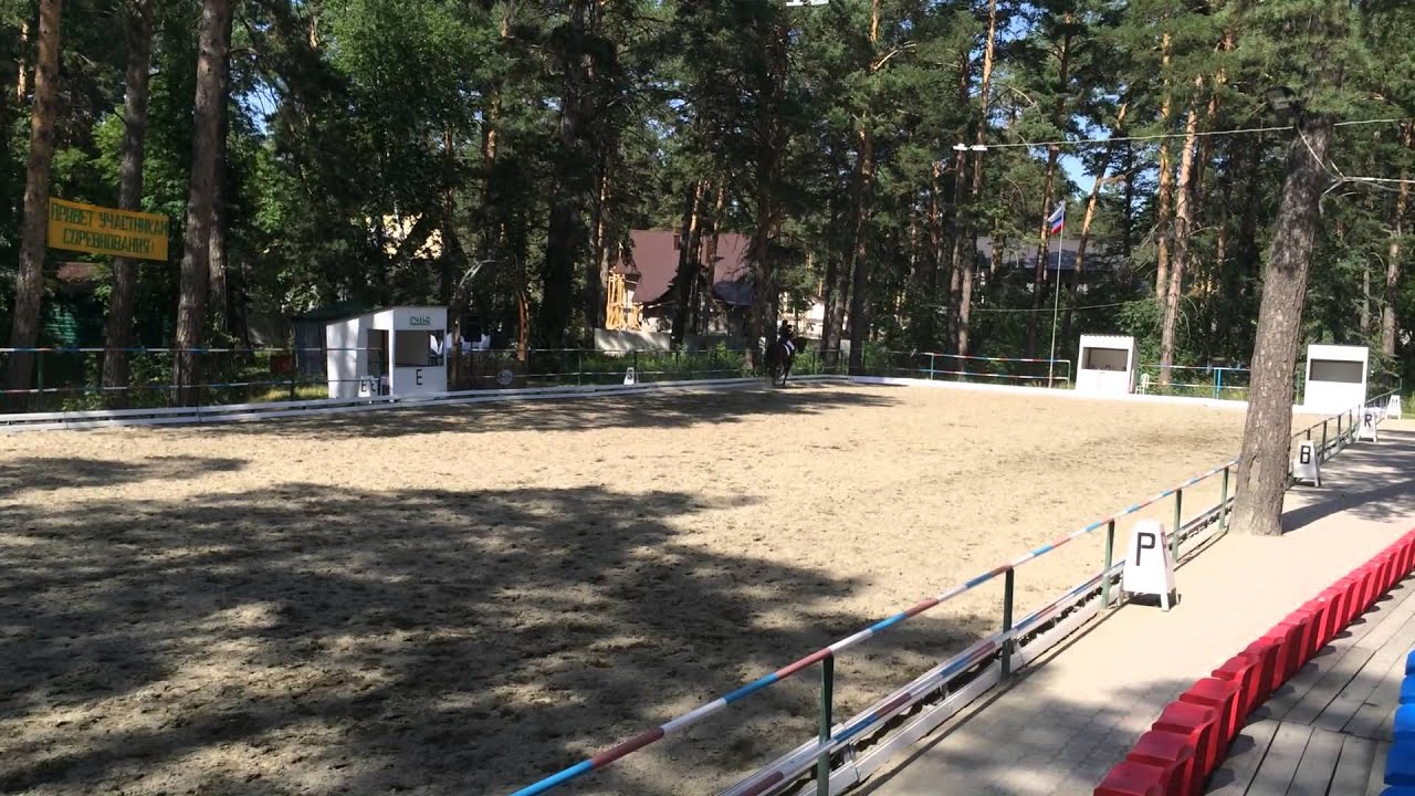 СФО по выездке Барнаул. 5 летняя езда Финал 74,6 %. Кучина Ирина и Регтайм 1 место