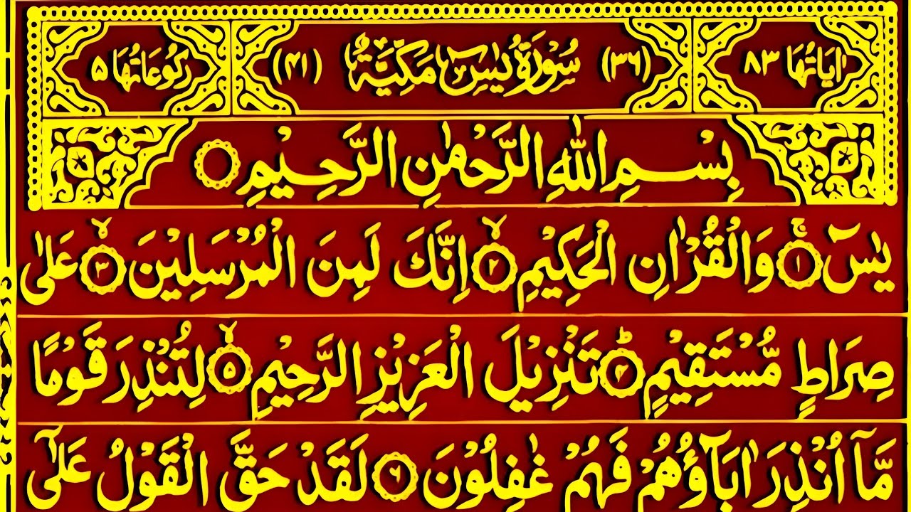 🌙 “Heart Healing Quran Tilawat – Surah Yaseen & Ar-Rahman | Urdu Tarjuma” 83