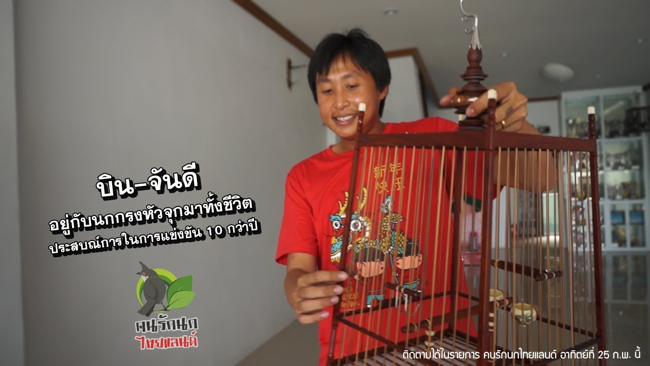 บินจันดี อยู่กันนกกรงหัวจุกมาทั้งชีวิต คนรักนกไทยแลนด์ EP.213