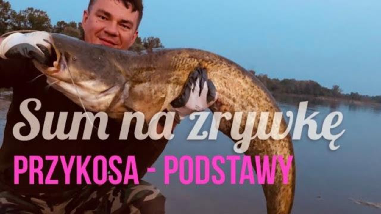 SUM NA ZRYWKĘ. Podstawy podstaw - przykosa rzeczna.