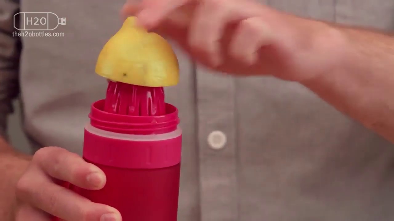 The H2O Fruit Infuser Water Bottles