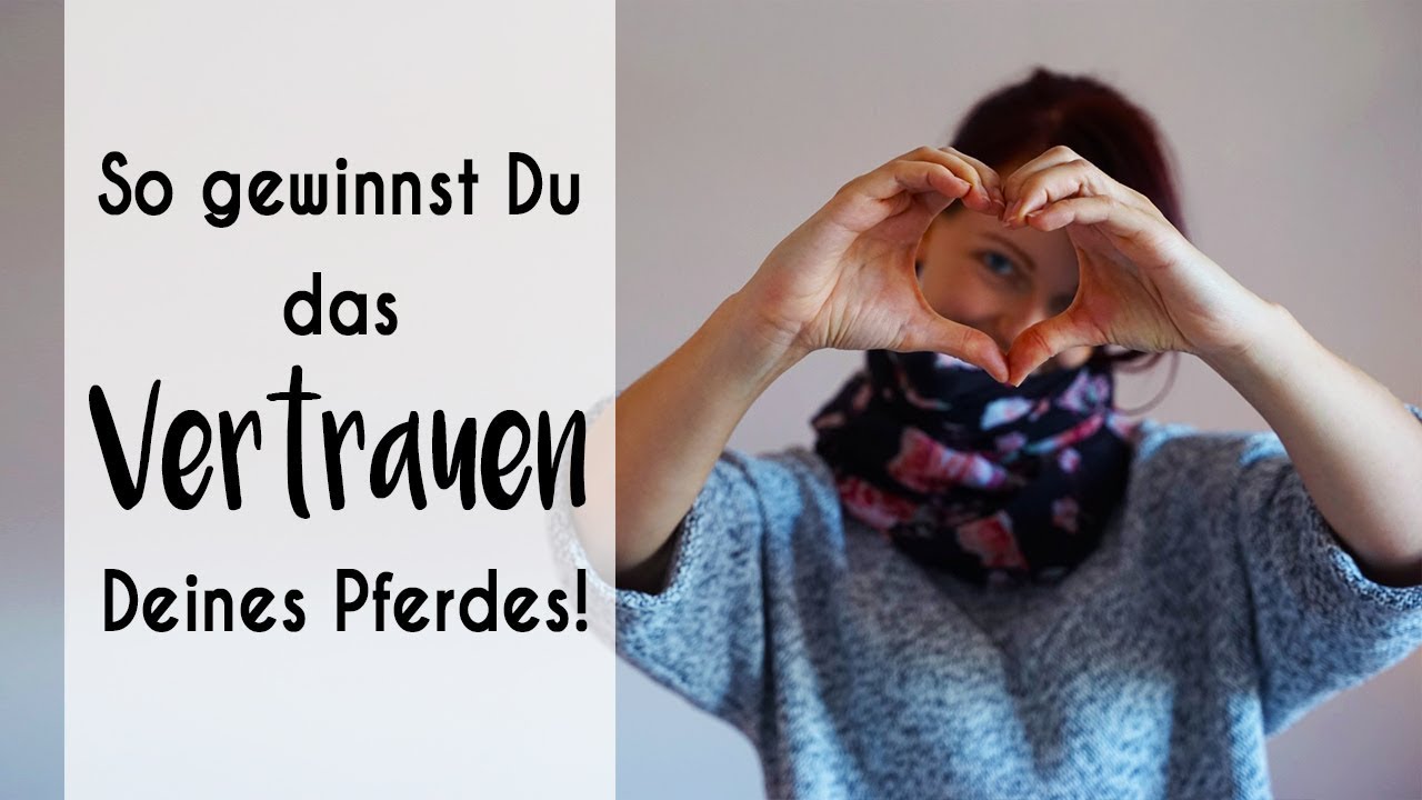Vertrauen aufbauen Pferd: 8 Tipps für eine gute Beziehung zu Deinem Pferd!