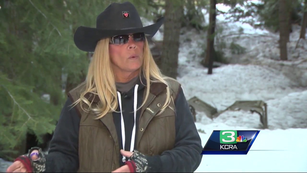 Viral video from south Lake Tahoe reminds residents to be  bear aware