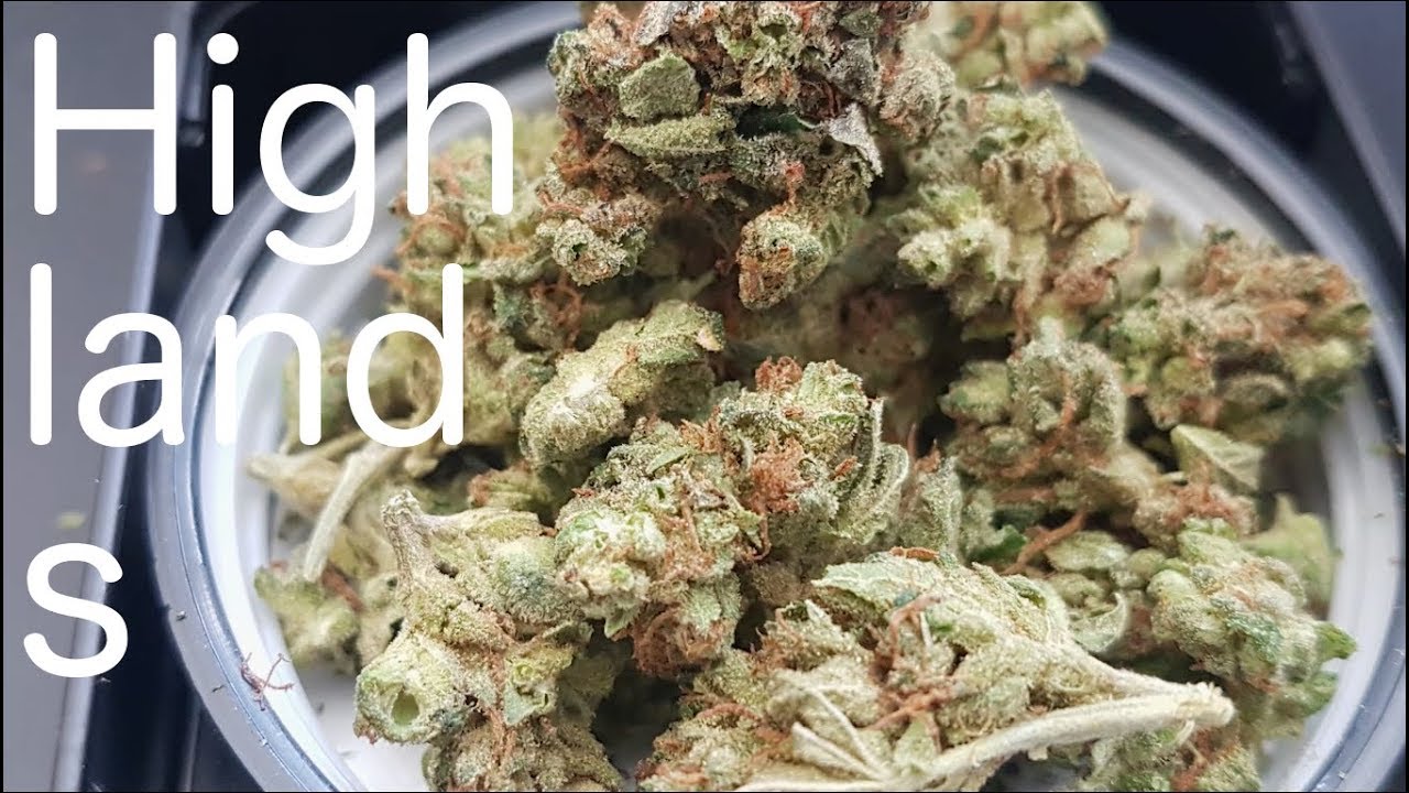 SQDC - Tweed - Highlands