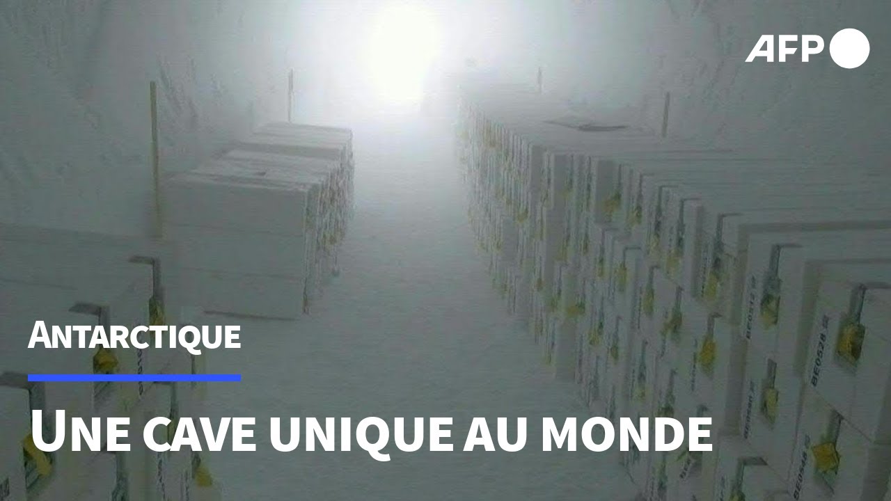 Ouverture de la première cave de carottes glaciaires | AFP