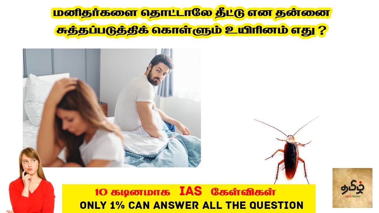 IAS Interview Questions Tamil | தமிழ் பொது அறிவு கேள்விகள் | Tamil Logical Questions and Answers