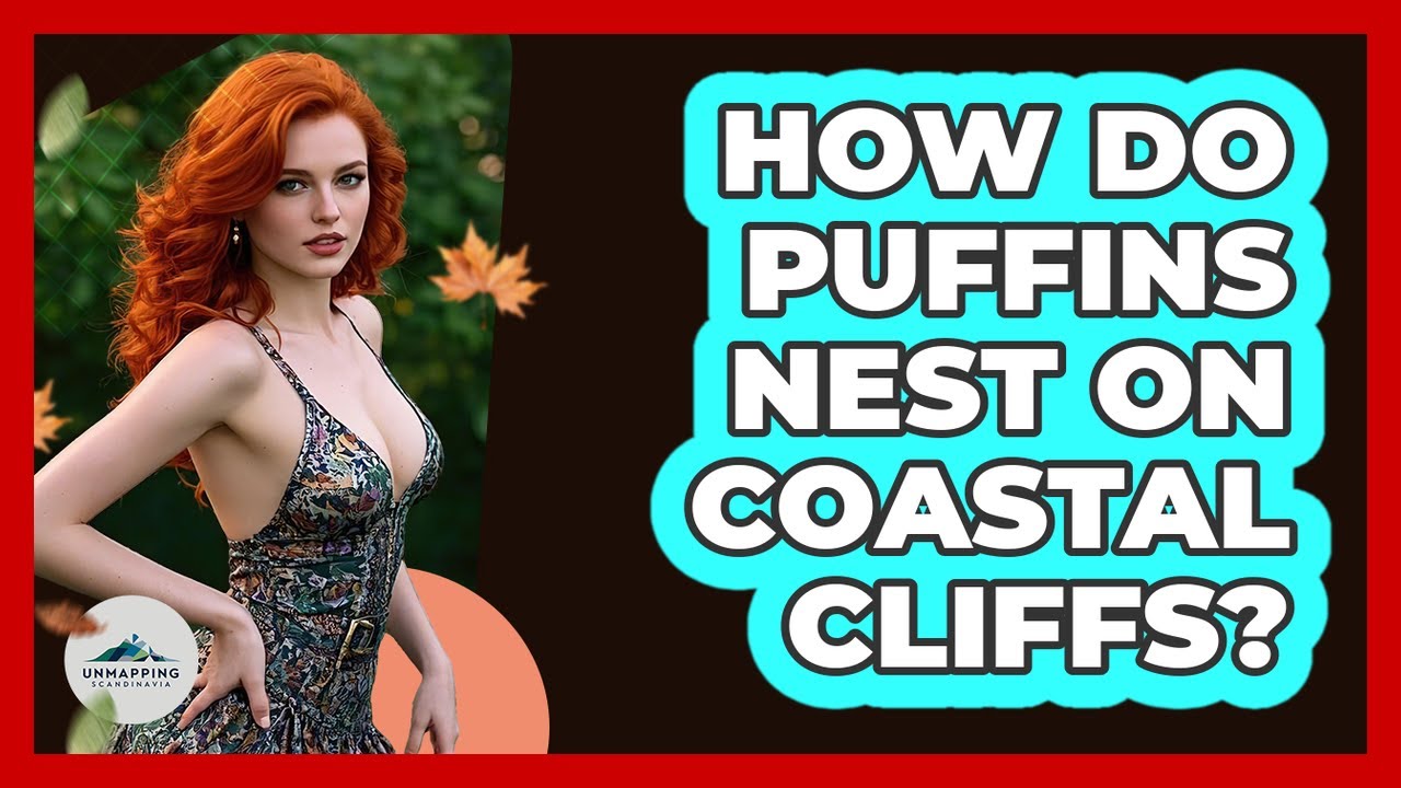 How Do Puffins Nest On Coastal Cliffs?