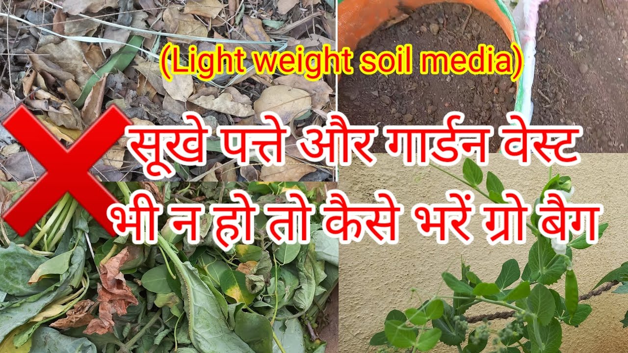 बिना सूखे पत्ते ,कोकोपीट और गार्डन वेस्ट के हल्की मिट्टी कैसे बनाए । soilless media /potting mix ।
