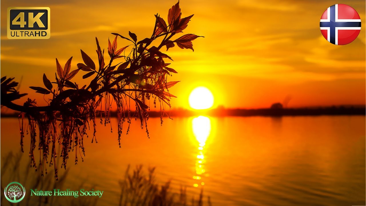 GOOD MORNING MUSIC 432Hz 😍 Soothing Fresh Energy Relaxing & Meditation Music 4K