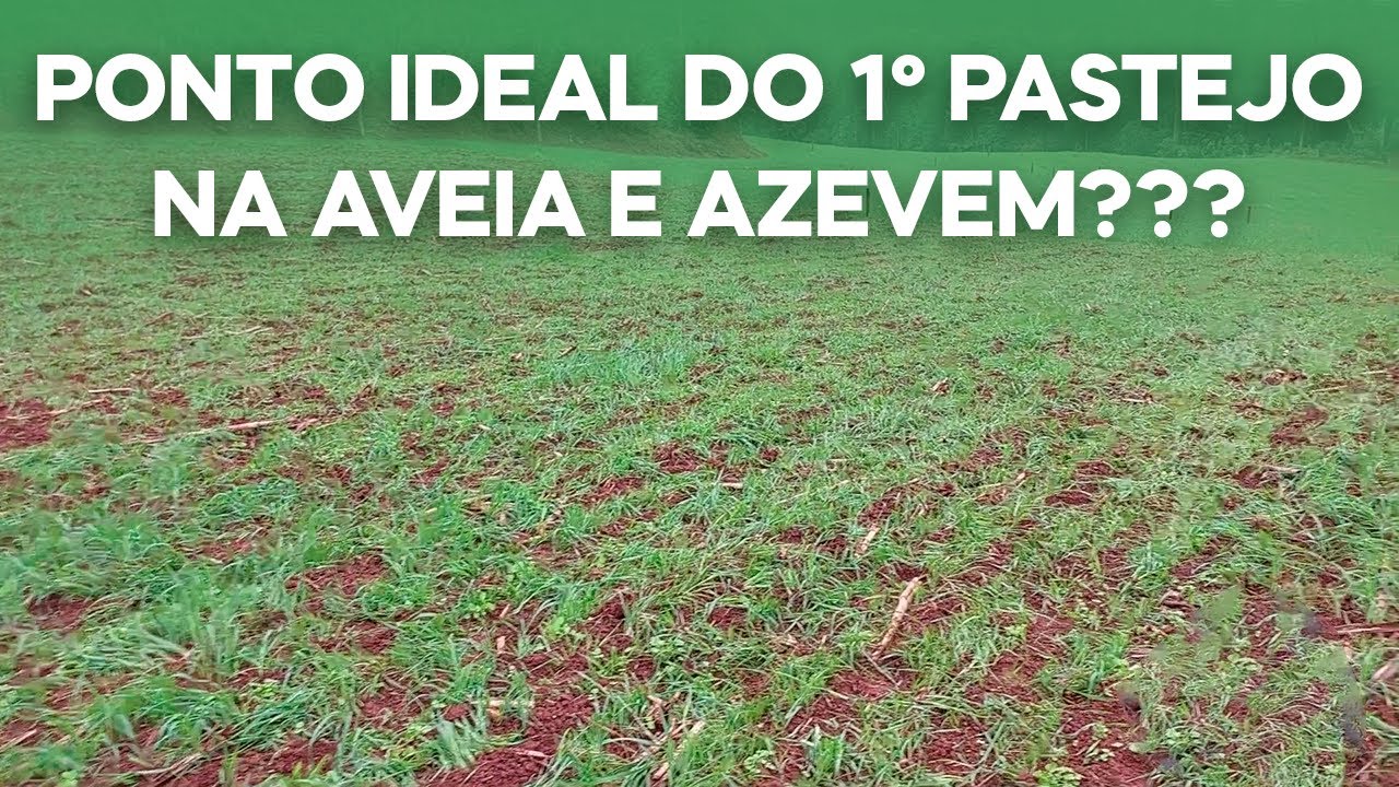 Qual o ponto ideal do 1º Pastejo na Aveia e Azevem??? (v.189)