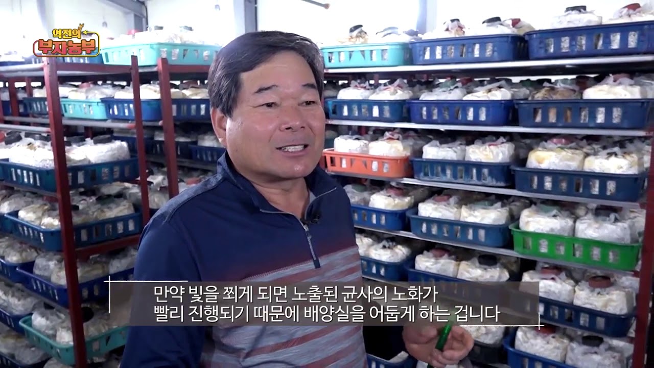 역전의 부자농부 8회 - 버섯