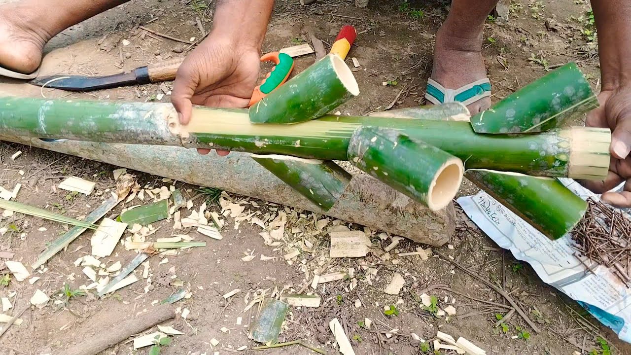 Chrysanthemum Plant In Green Bamboo Making Pots | How to grow chrysanthemum 