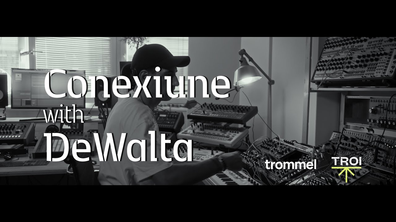 Conexiune with DeWalta