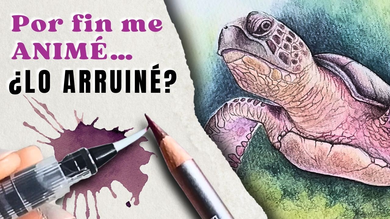 Lápices DERWENT GRAPHITINT ✏️ ¿Grafito de Colores Acuarelables? Review + Demo Tortuga Marina