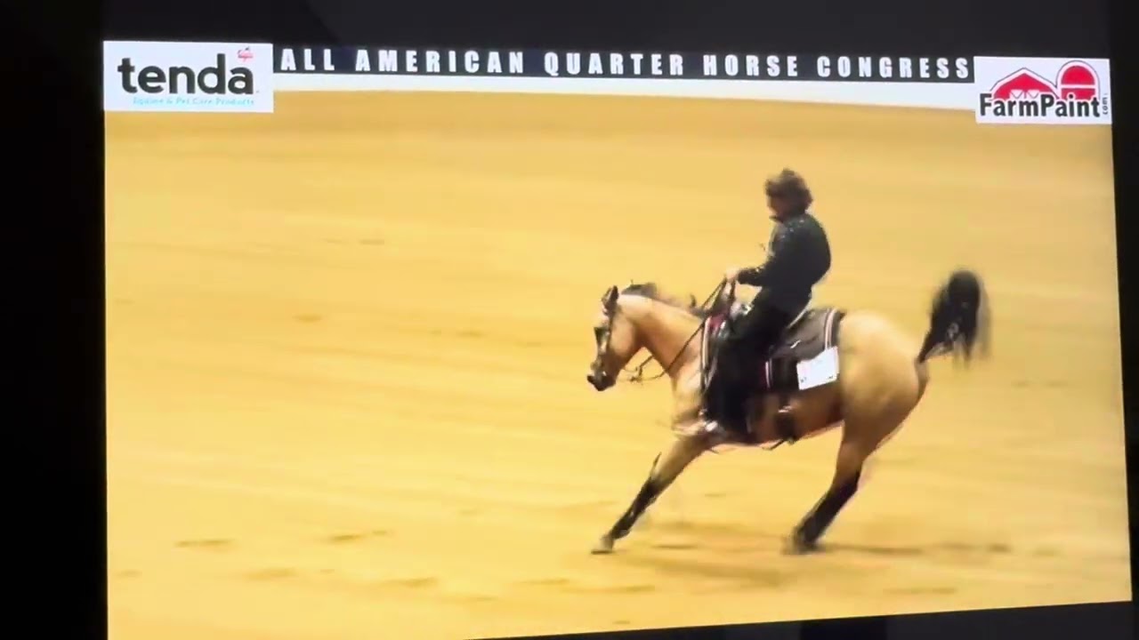 Freestyle Reigning at Quarter Horse Congress with Ricky Ticky on Tina 