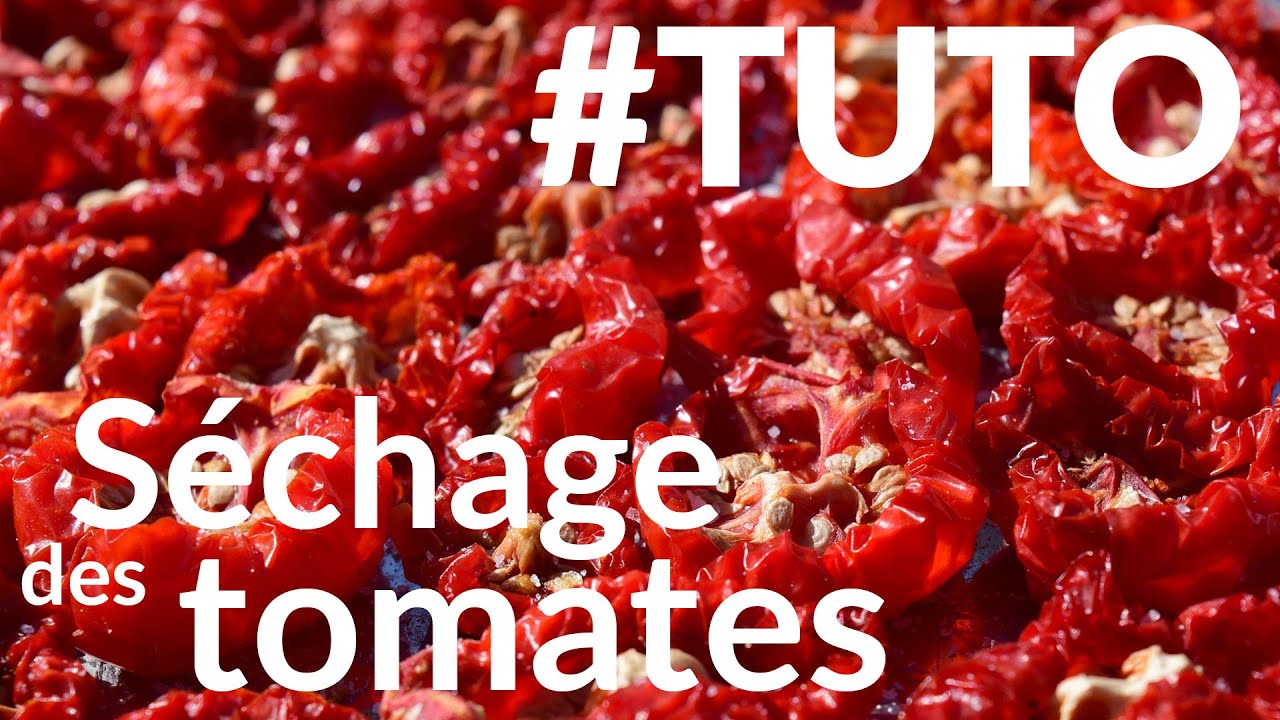 #Tuto - Quelles sont les &eacute;tapes pour le s&eacute;chage de tomates ?