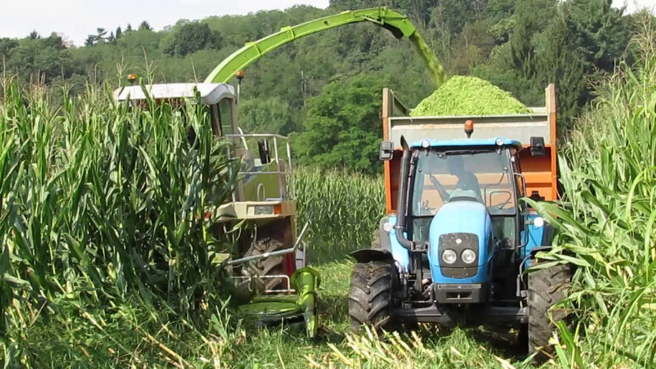 Claas Jaguar 840 - Landini Vision 95 - 3 New Holland T7.210 | Trinciatura 2016 | Az. Agr. Trezzi