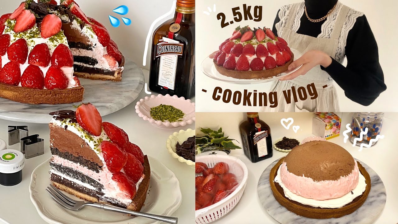 バレンタインに向けてチョコと苺のムースタルト作り👩🏻‍🍳歴代1位のクオリティに絶句💫私の成長を見て!\cooking vlog/