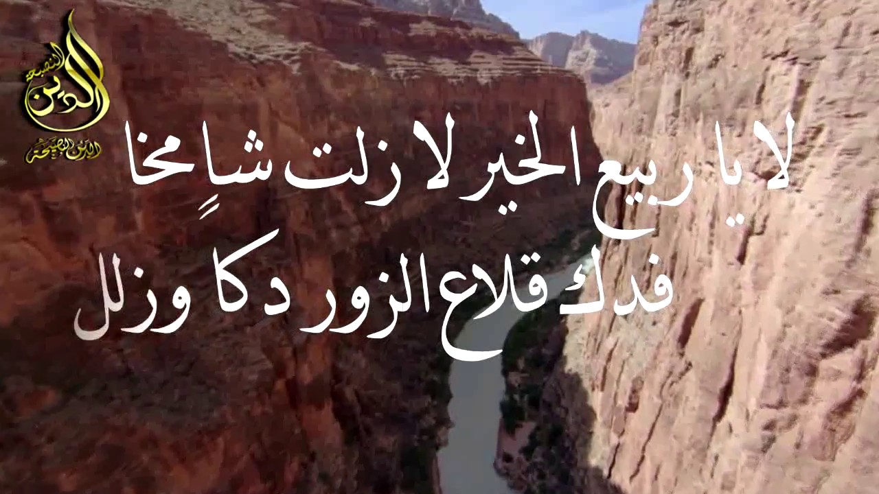 رائع قصيدة في الذب عن الشيخ العلامة ربيع المدخلي حفظه الله