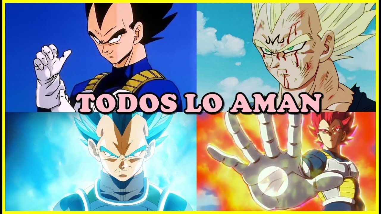 PORQUE LA GENTE AMA TANTO A VEGETA?