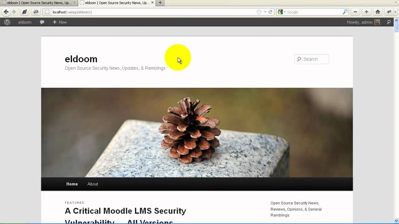 WordPress Theme Editing Basics for TwentyTen & TwentyEleven Default Themes
