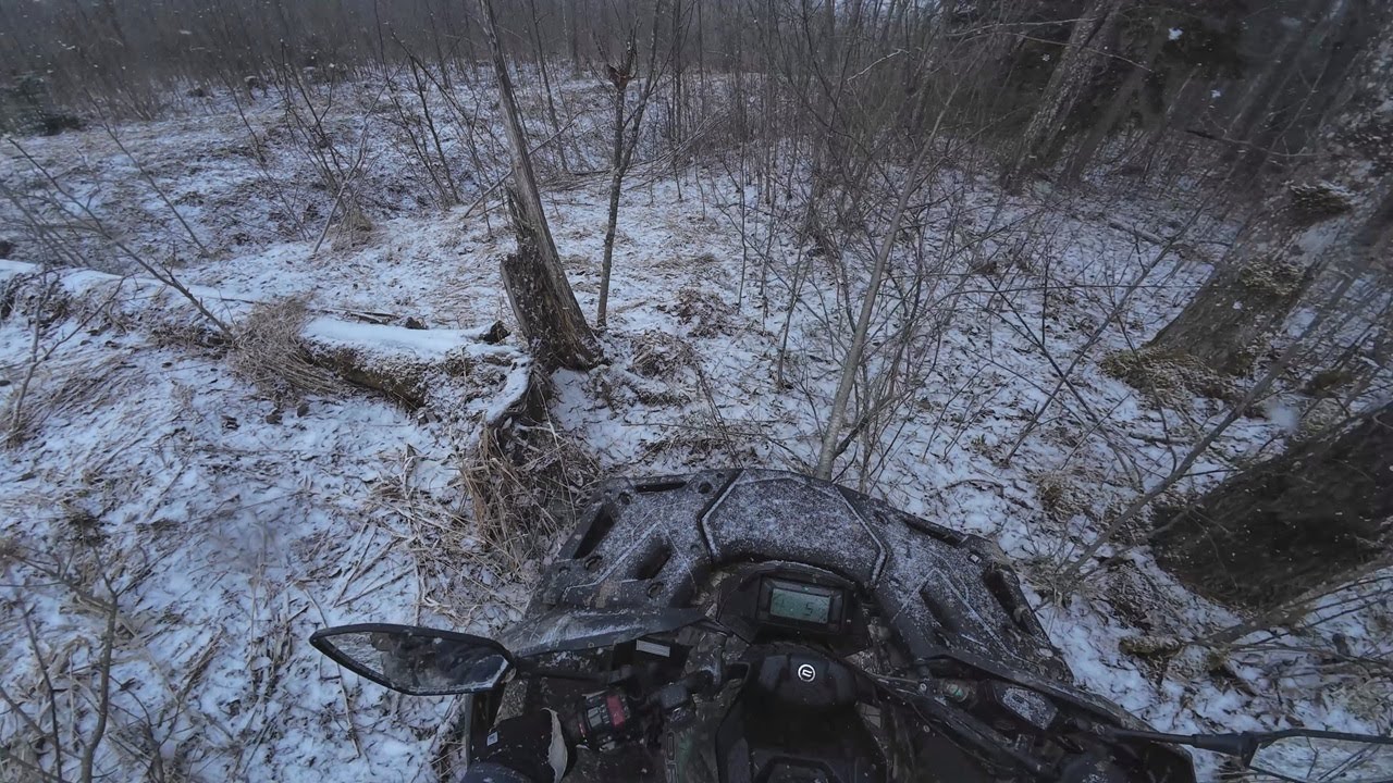 Atv offroad, somewhere in Estonia. (cforce 625 2022)