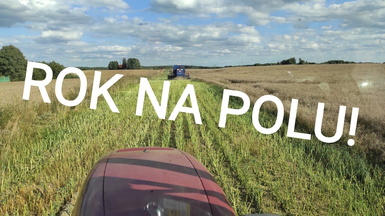RZEPAK DAJE RADĘ! Es Capello pod ostrzem!