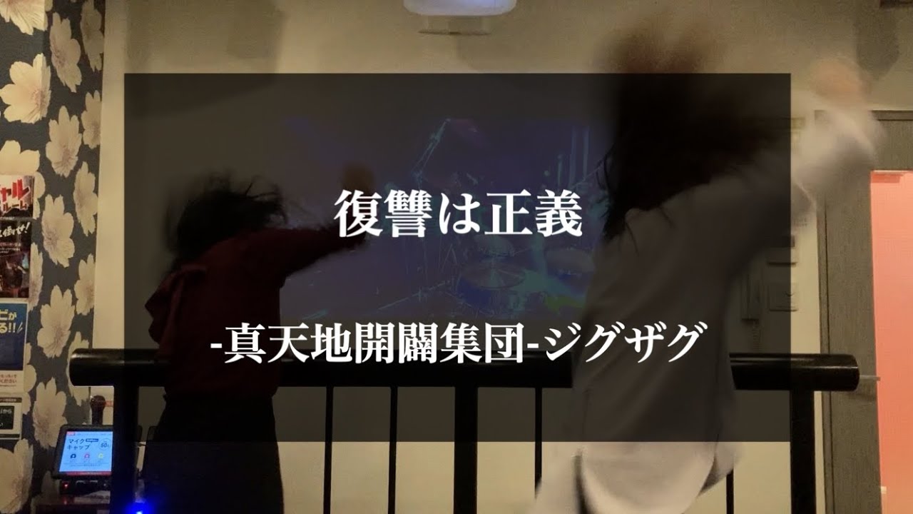復讐は正義 / 真天地開闢集団-ジグザグ-