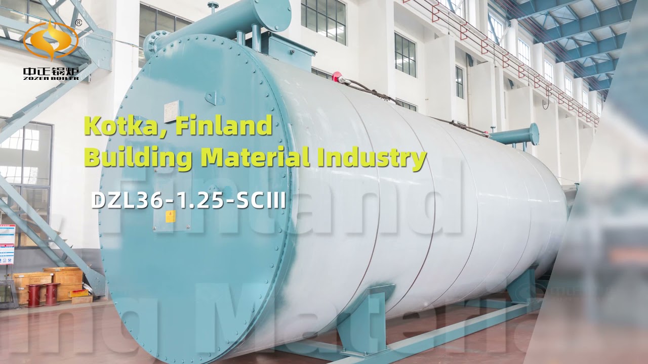 ZOZEN Boiler Cases Collection| Overseas Cases| Industrial Boilers