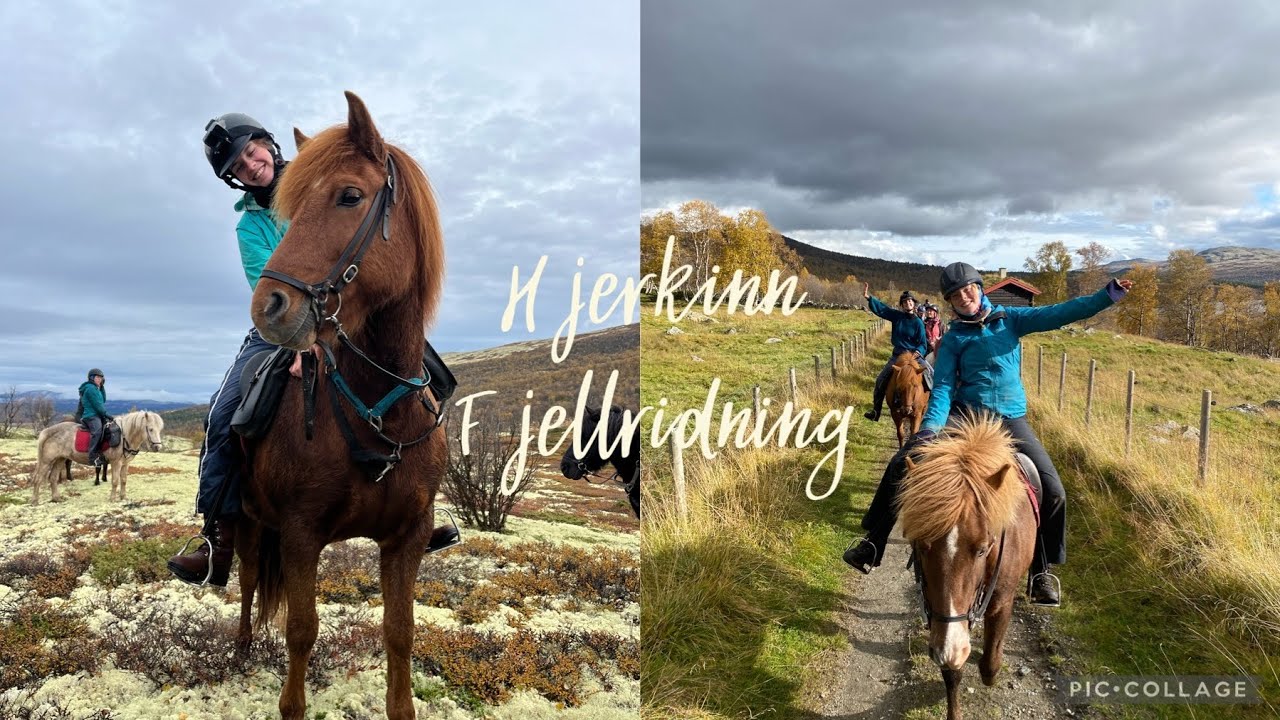 Hjerkinn trail ride September 2023
