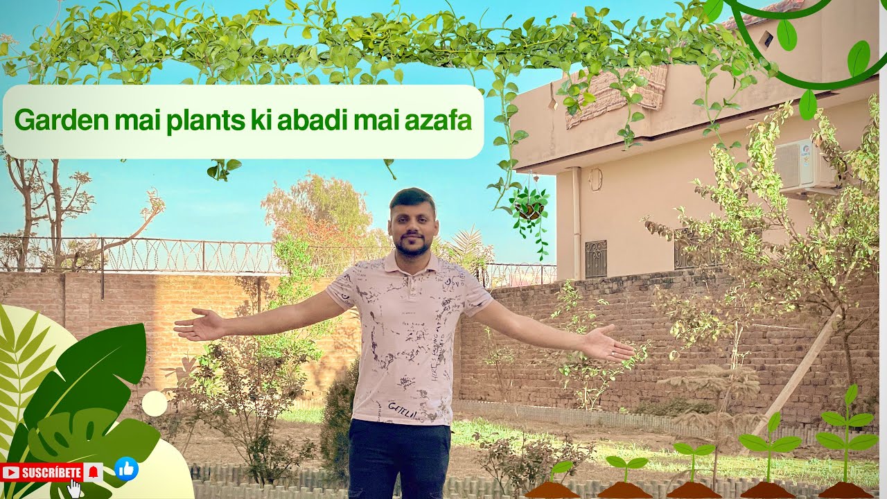 Ab to Dill b garden garden ho raha ha 😂😂/breaking news garden ki abadi Mai azafa 😂#gardening #plants